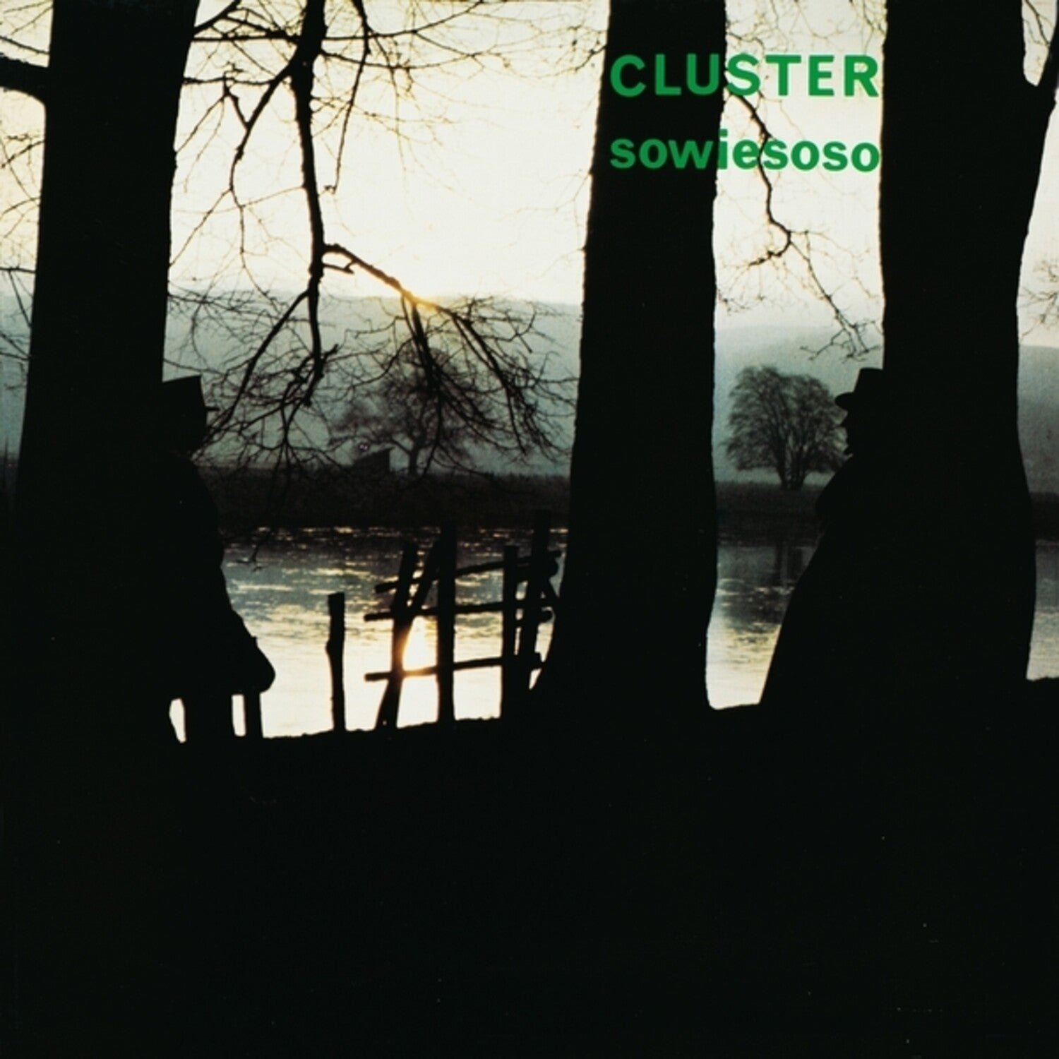 Cluster - Sowiesoso (Anniversary Edition)
