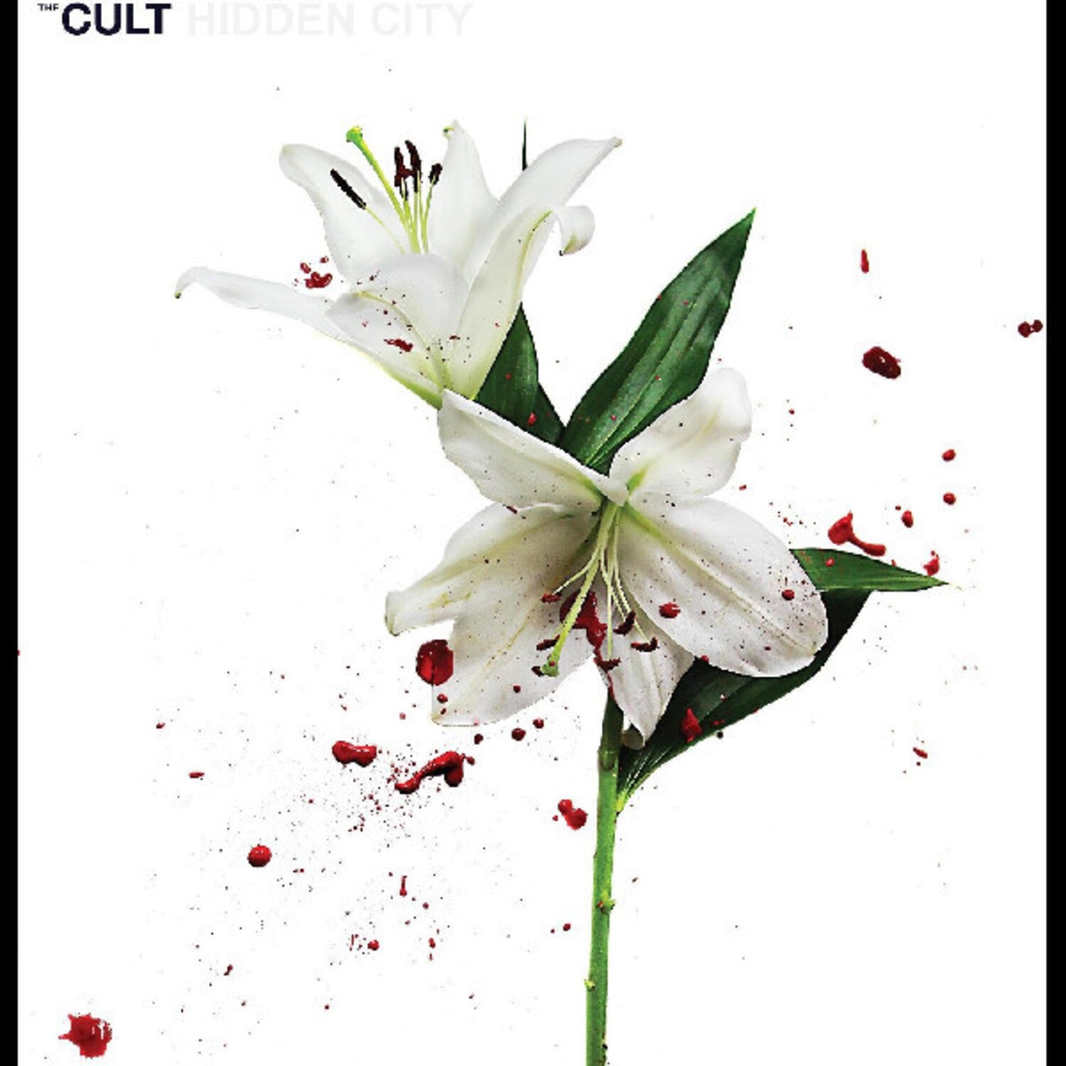 Cult - Hidden City (CD)