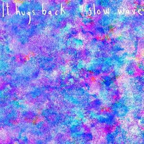 It Hugs Back - Slow Wave (CD)