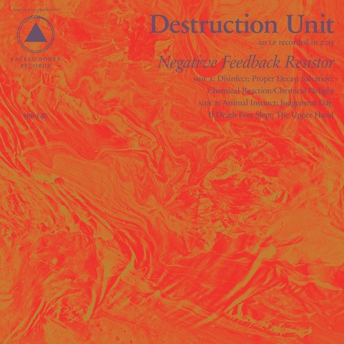 Destruction Unit - Negative Feedback Resistor (CD)