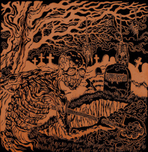 Wan - Dig Up The Past 2xLP