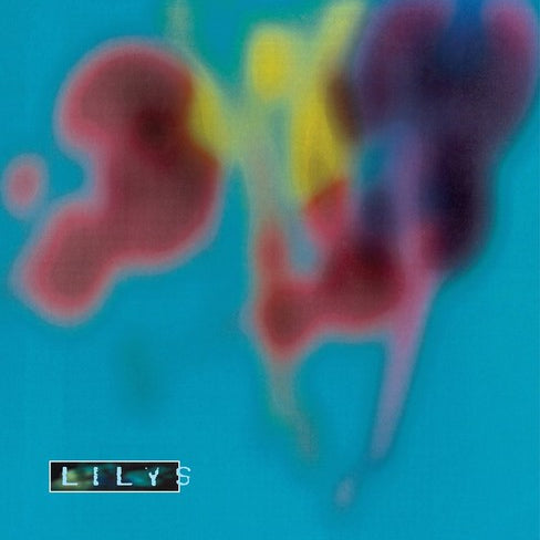 3006164.jpg