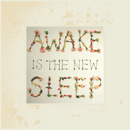 Ben Lee - Awake Is the New Sleep 2xLP