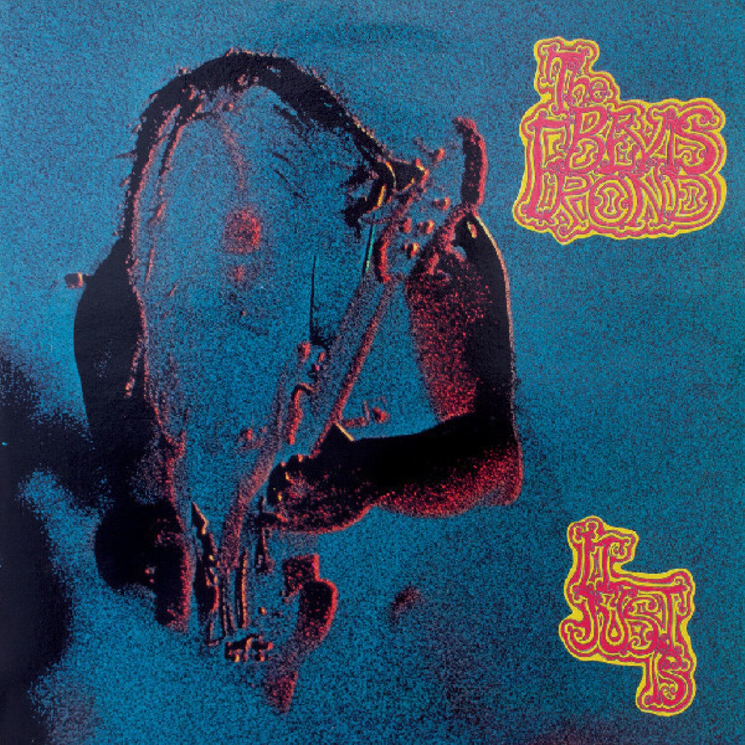 Bevis Frond - It Just Is (CD)