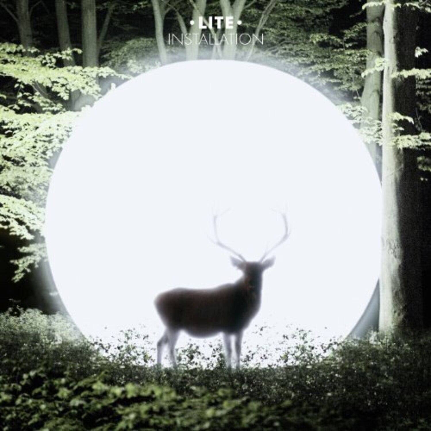 Lite - Installation