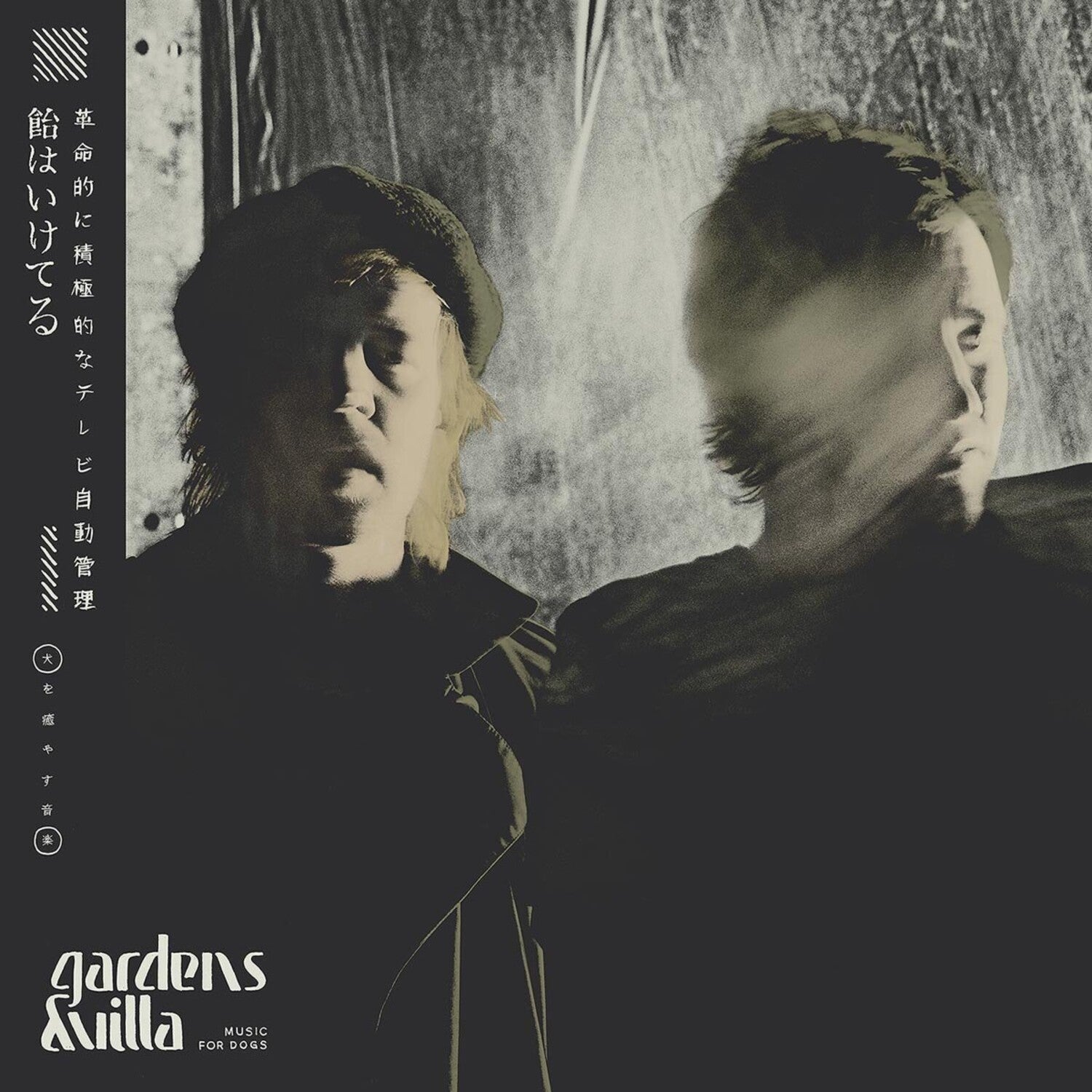 Gardens & Villa - Music For Dogs (Clear Vinyl)