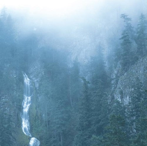 Wolves in the Throne Room - Diadem Of 12 Stars 2xLP