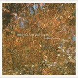 Baird Sisters - Until You Find Your Green (CD)