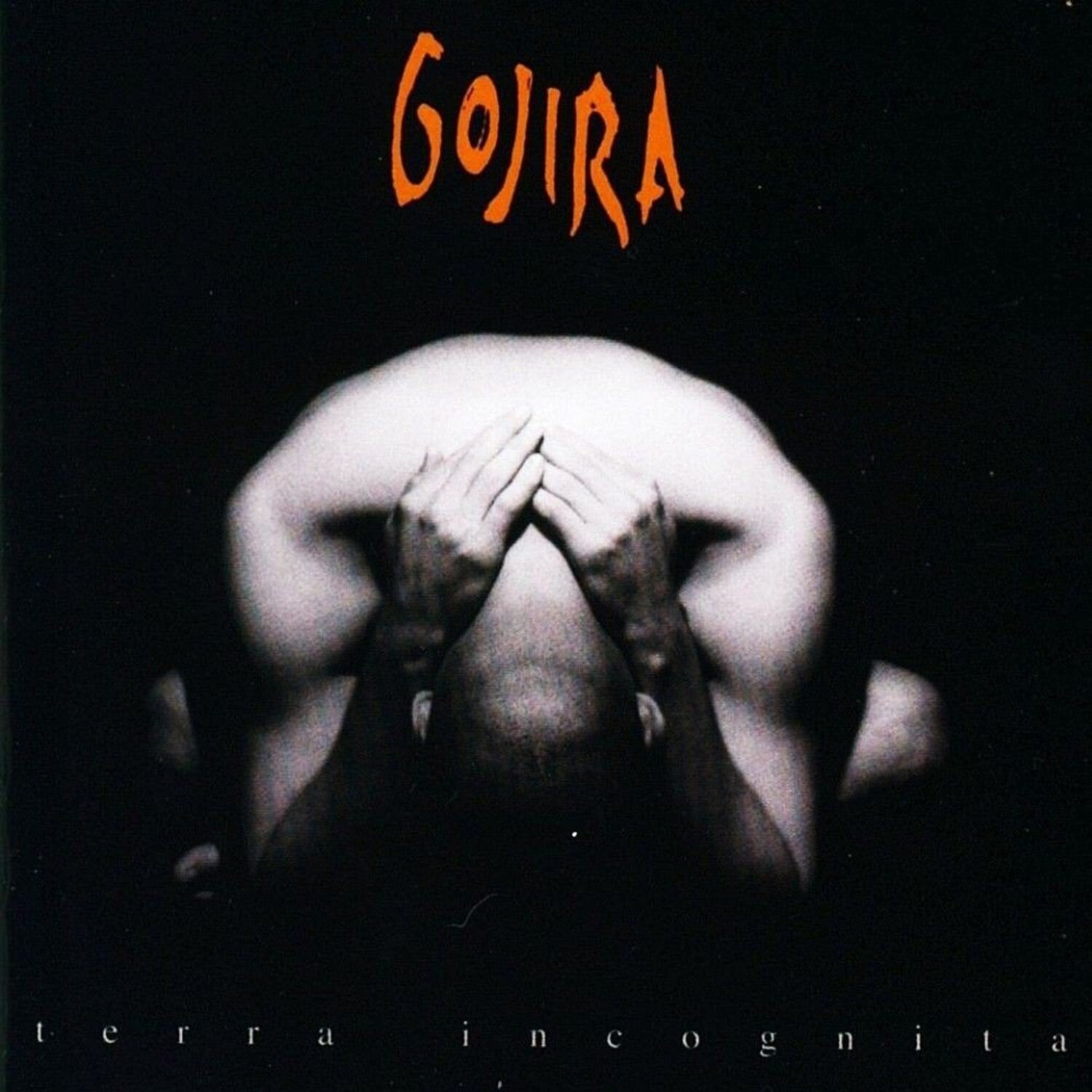 Gojira - Terra Incognita (CD)