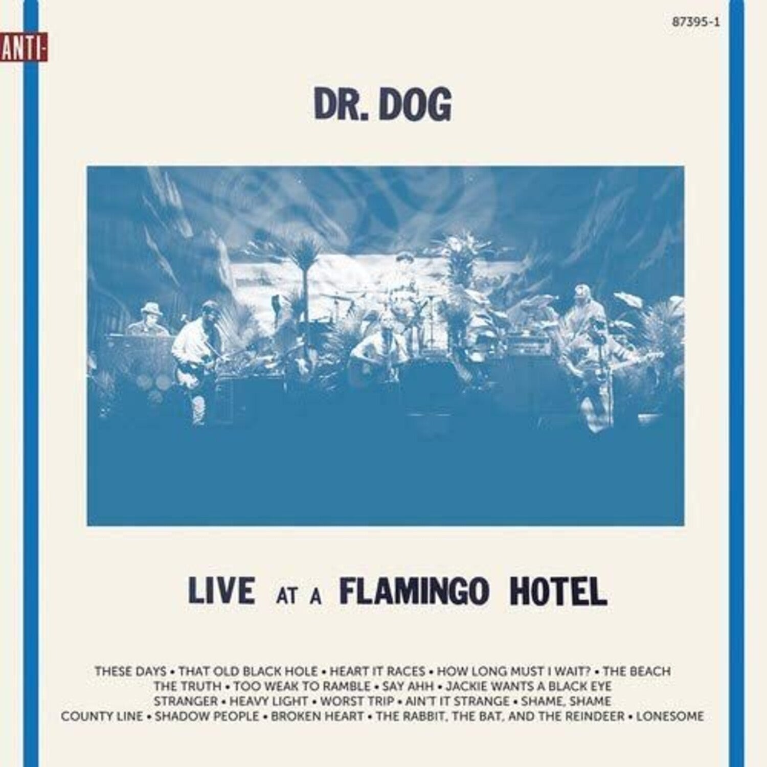 Dr Dog - Live At A Flamingo Hotel 2xLP