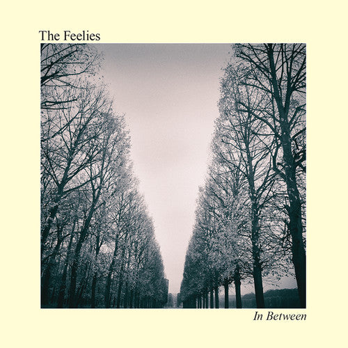 Feelies - In Between (CD)