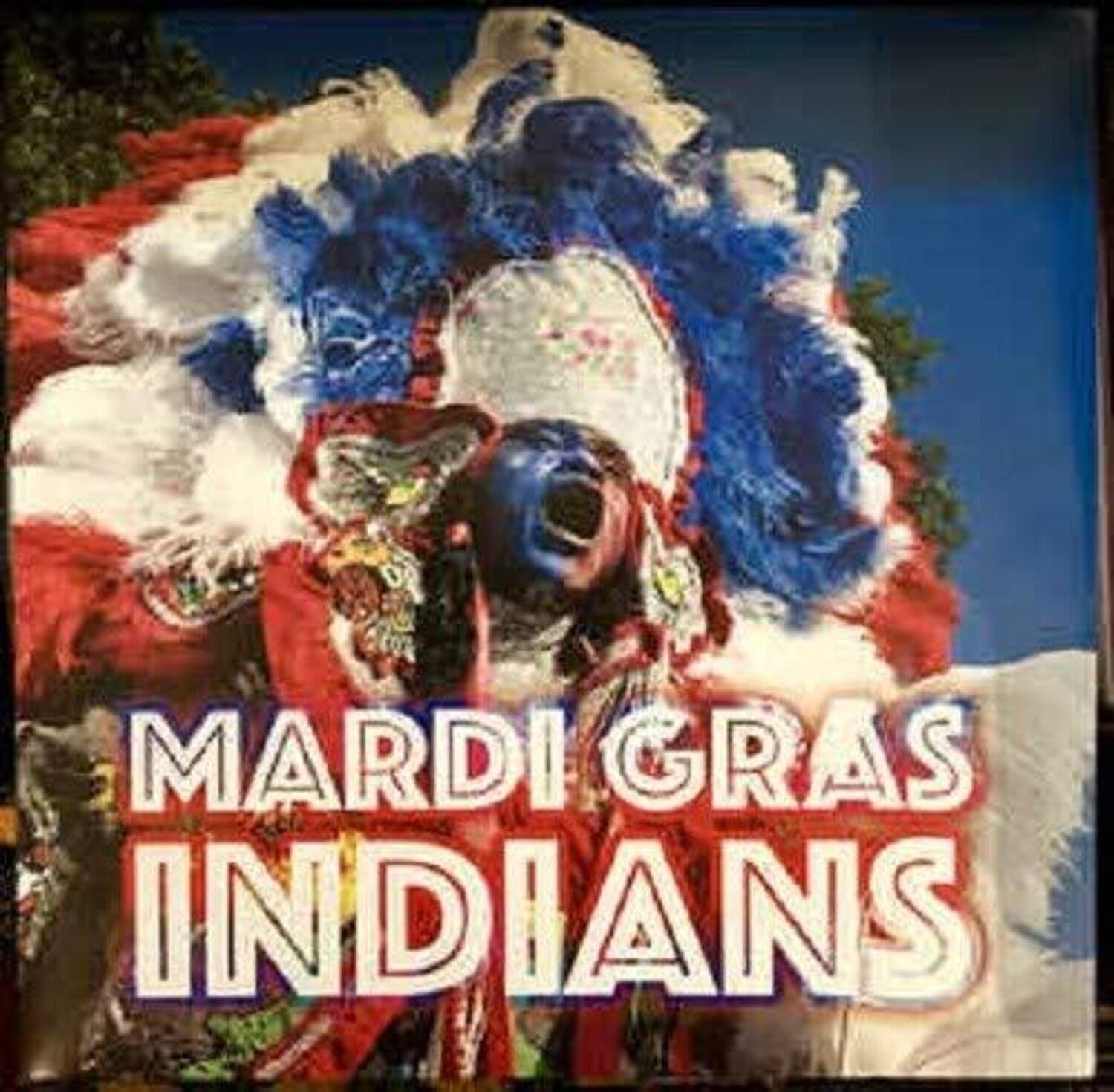 Various Artists - Mardi Gras Indians 2xLP