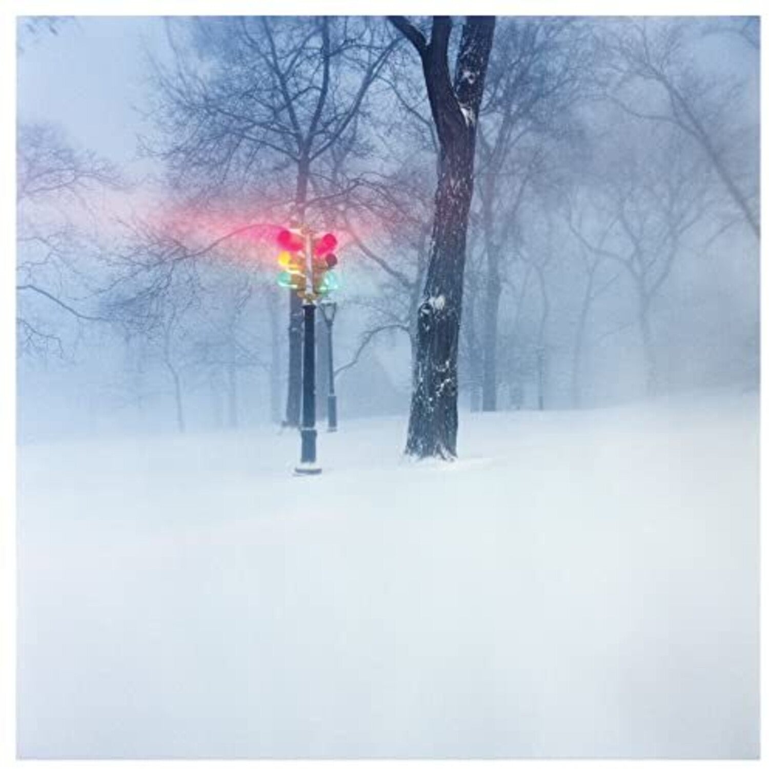 Express Rising - Fixed Rope (CD)