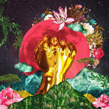 Rina Mushonga - In A Galaxy (CD)