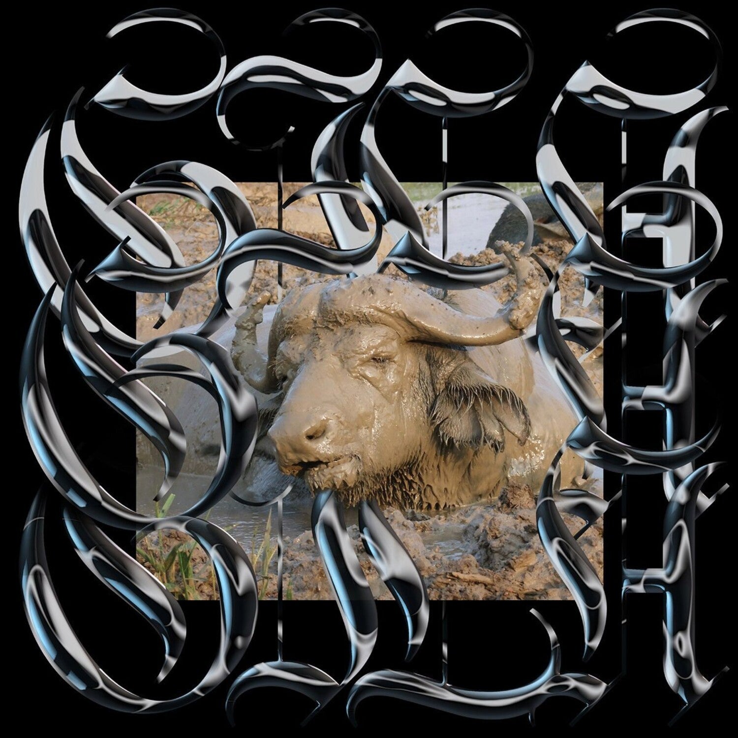 Gila - Trench Tones (Limited Edition)