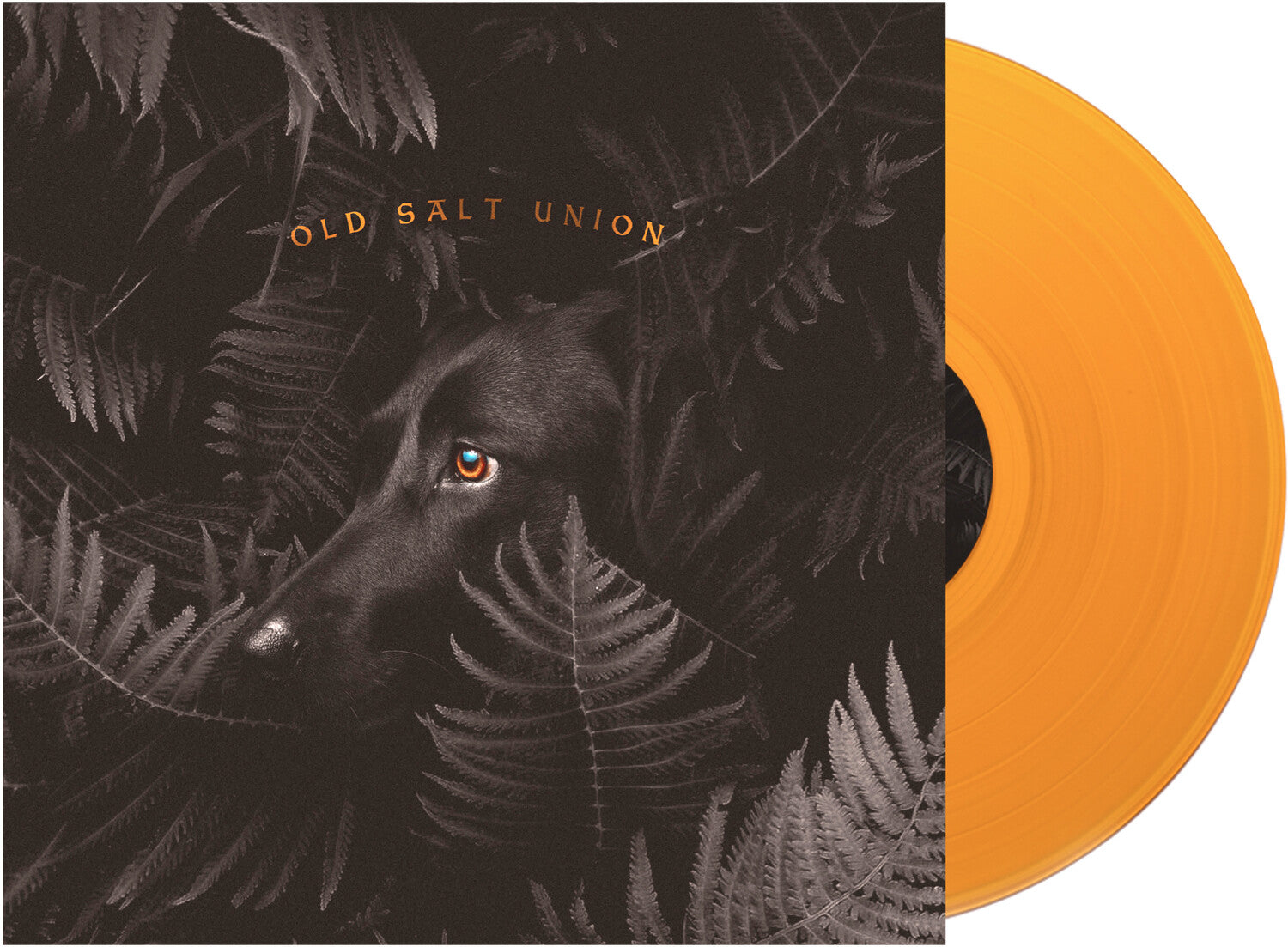 Old Salt Union - Where The Dogs Don't Bite (Orange Vinyl)