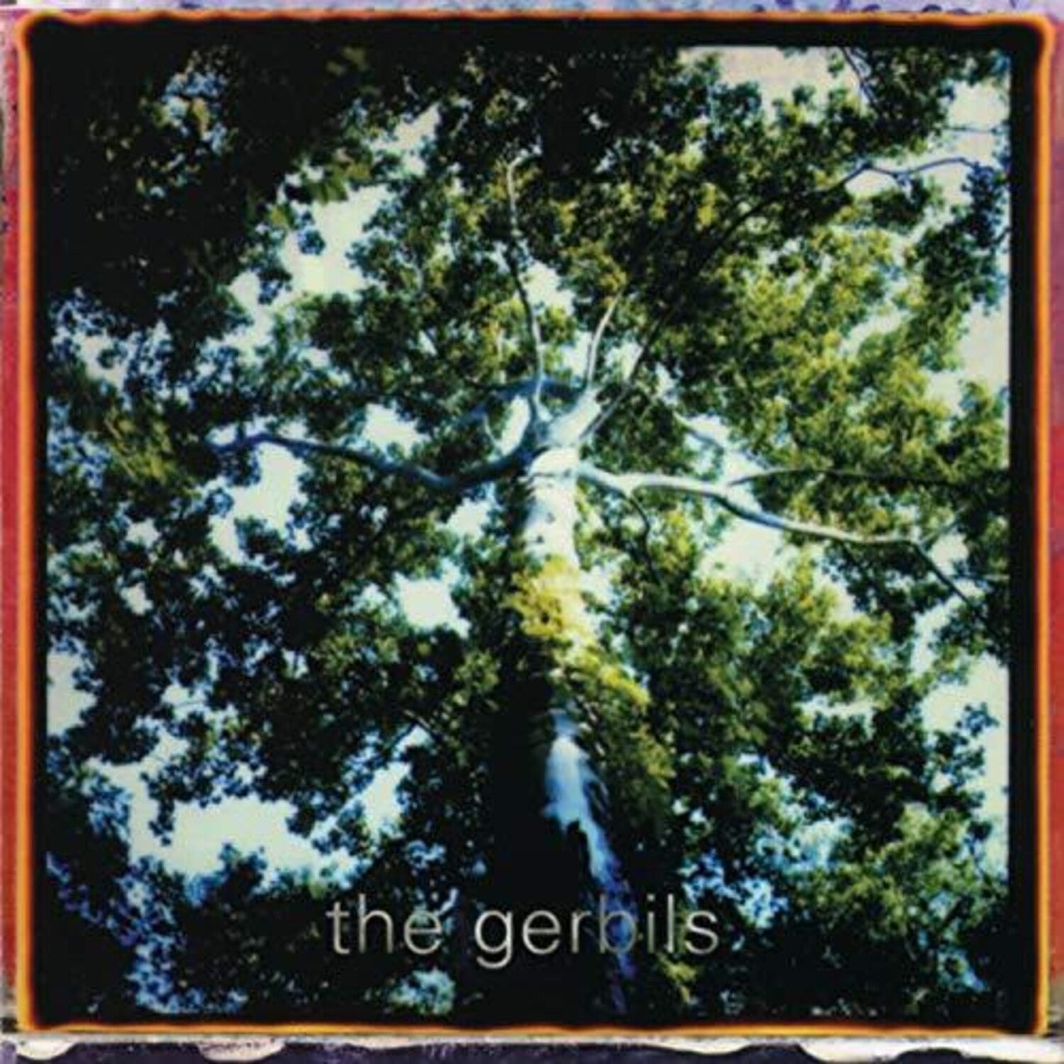 Gerbils - Are You Sleepy