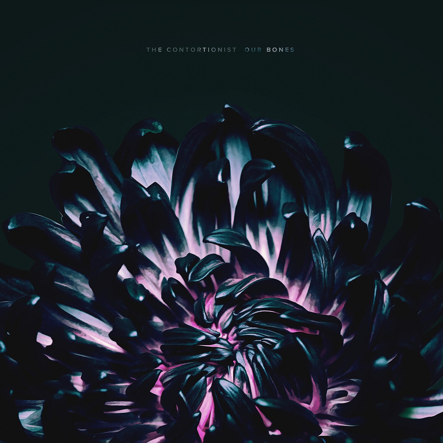 Contortionist - Our Bones (CD)