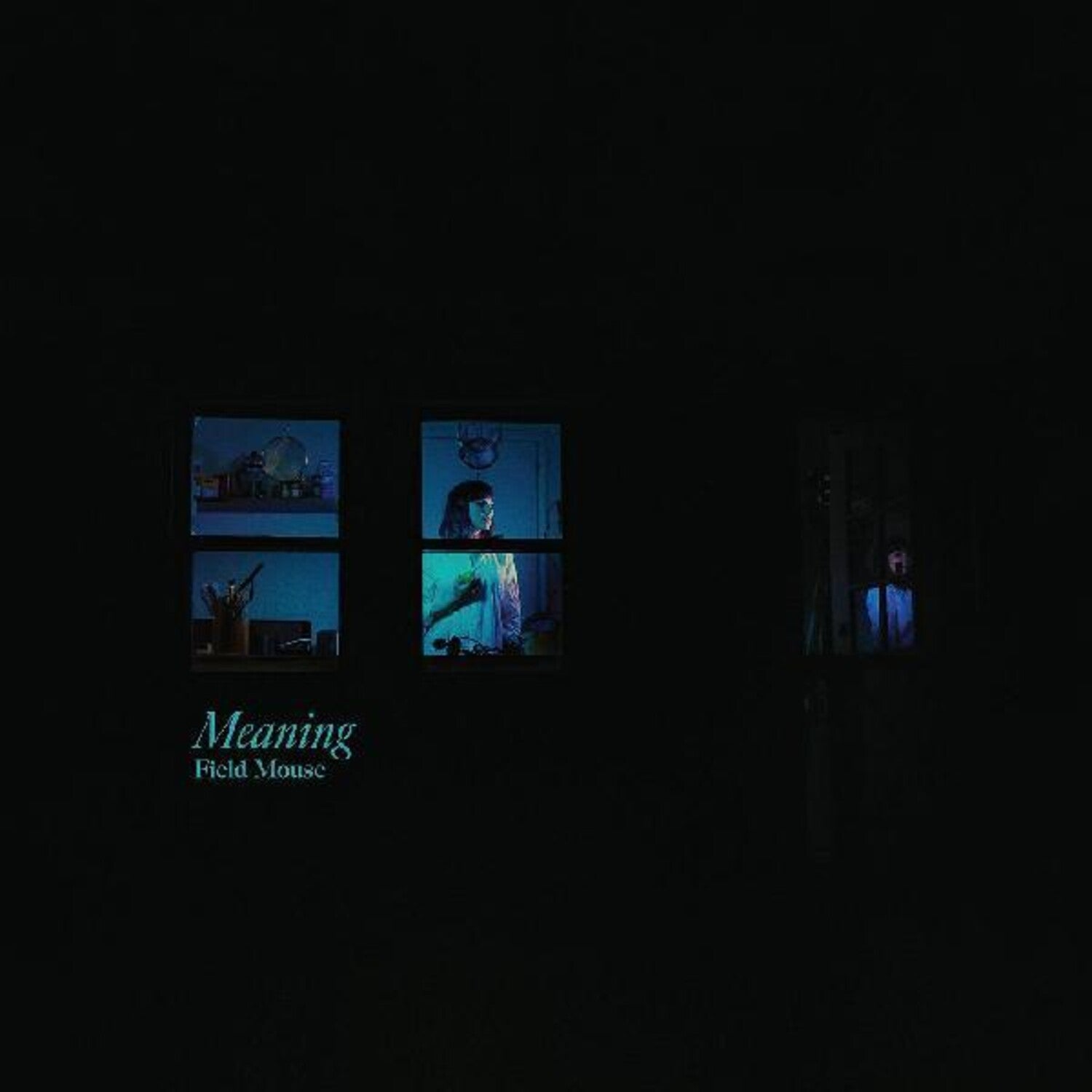 Field Mouse - Meaning (CD)