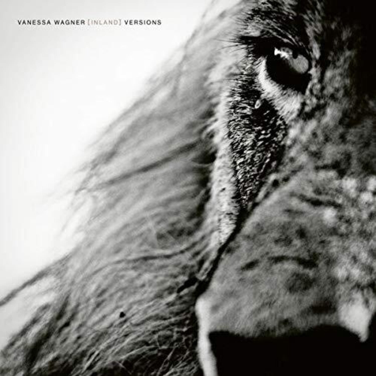 Vanessa Wagner - Inland Versions