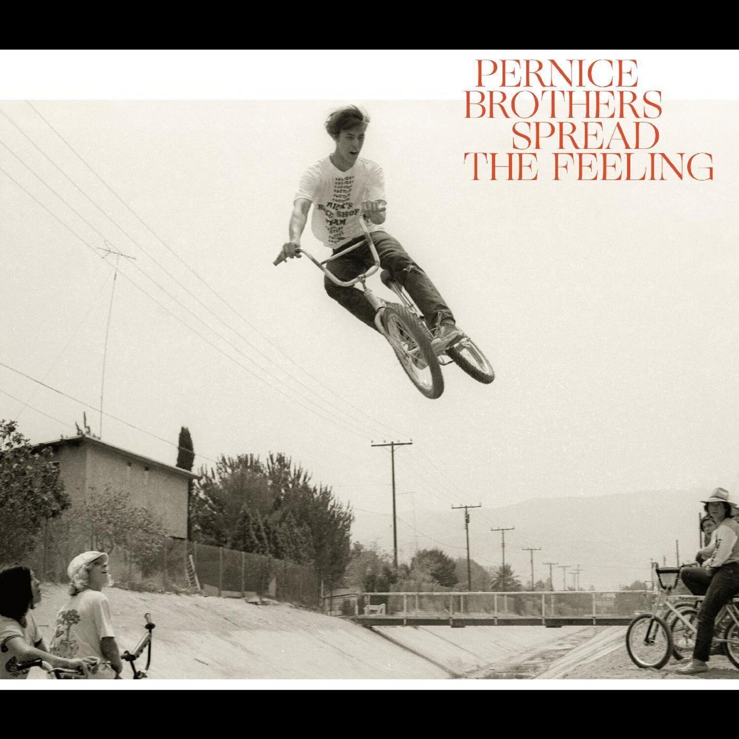 Pernice Brothers - Spread The Feeling (CD)