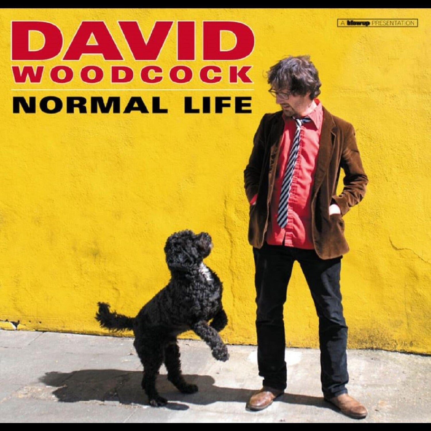 David Woodcock - Normal Life (CD)