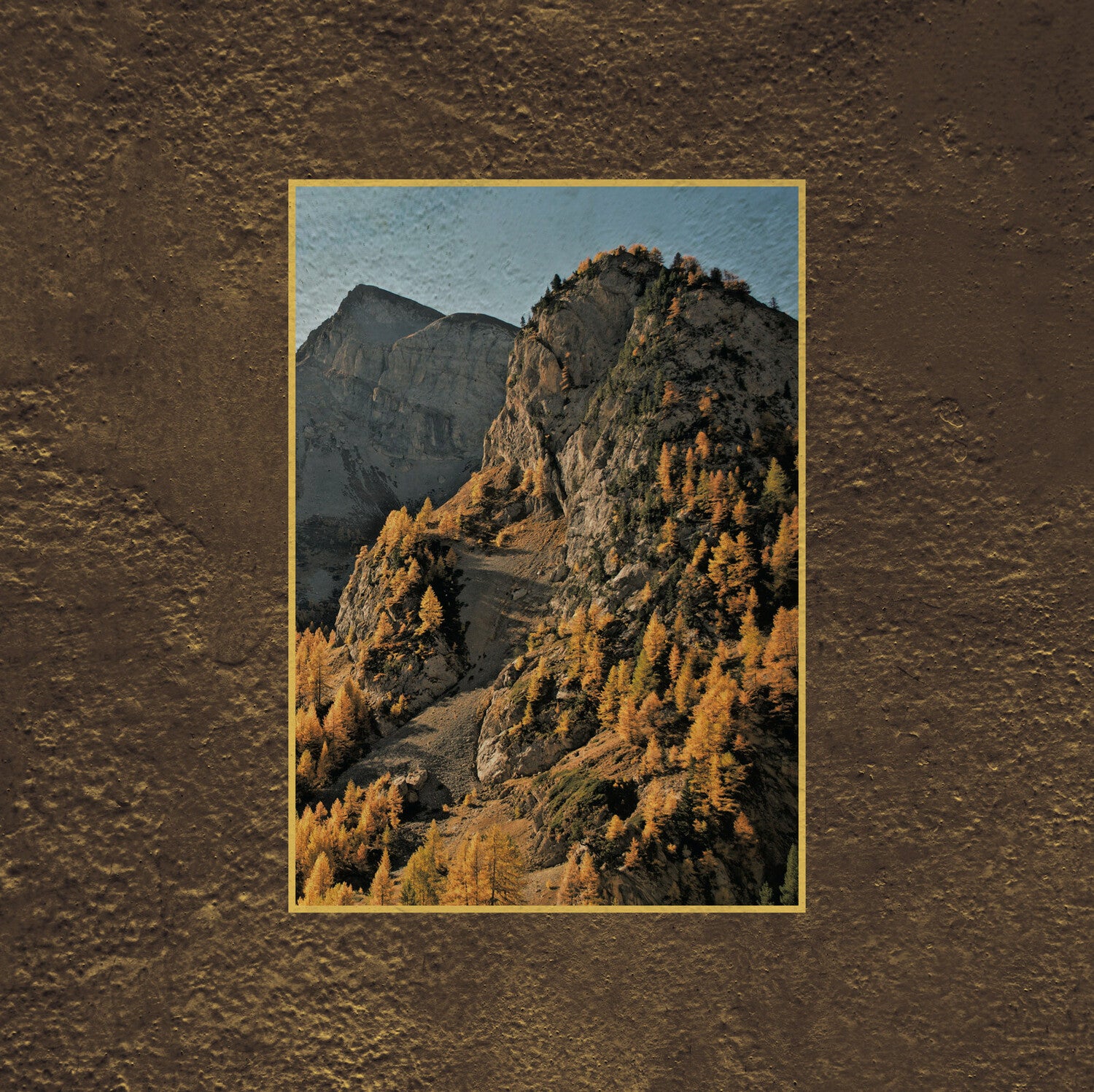 3745910-2756767.jpg