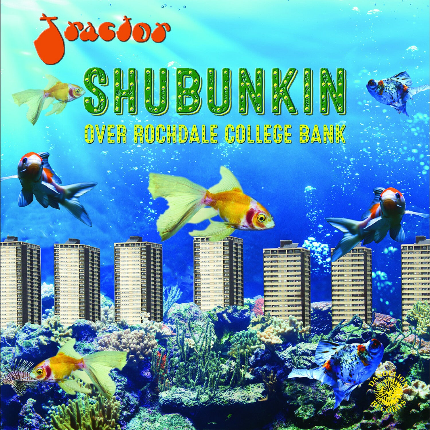 Tractor - Shubunkin Over Rochdale College Bank (Blue Vinyl)