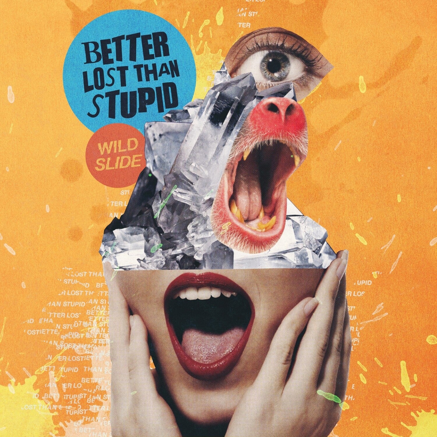 Better Lost Than Stupid - Wild Slide 2xLP
