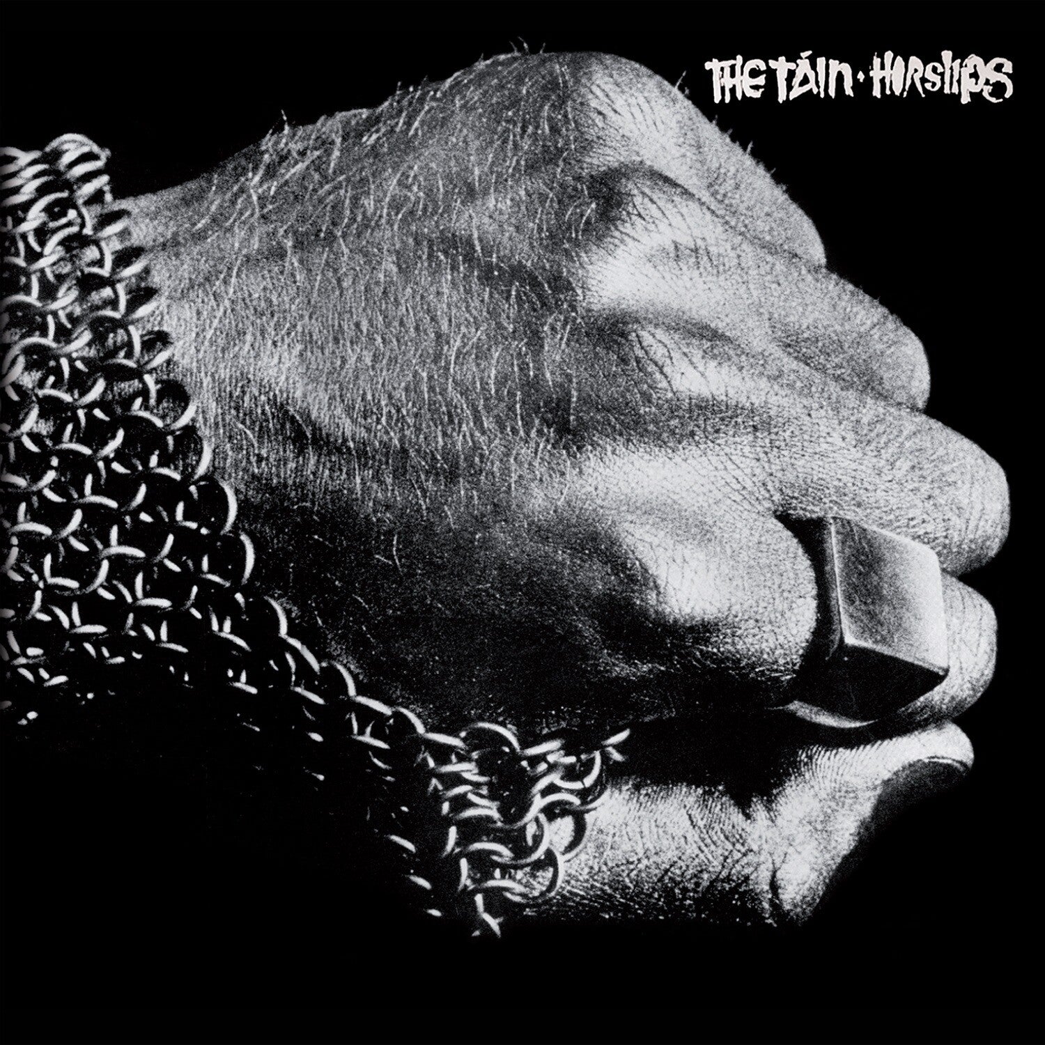 Horslips - The Tain