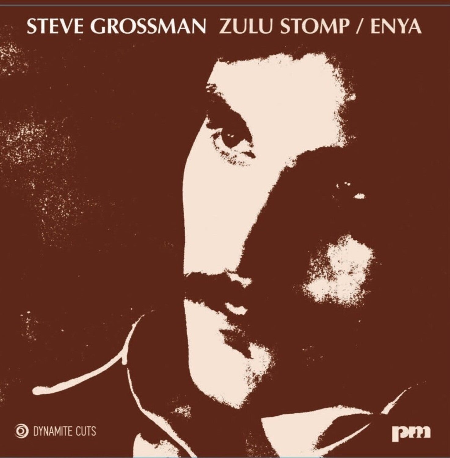 Steve Grossman - Zulu Stomp / Enya