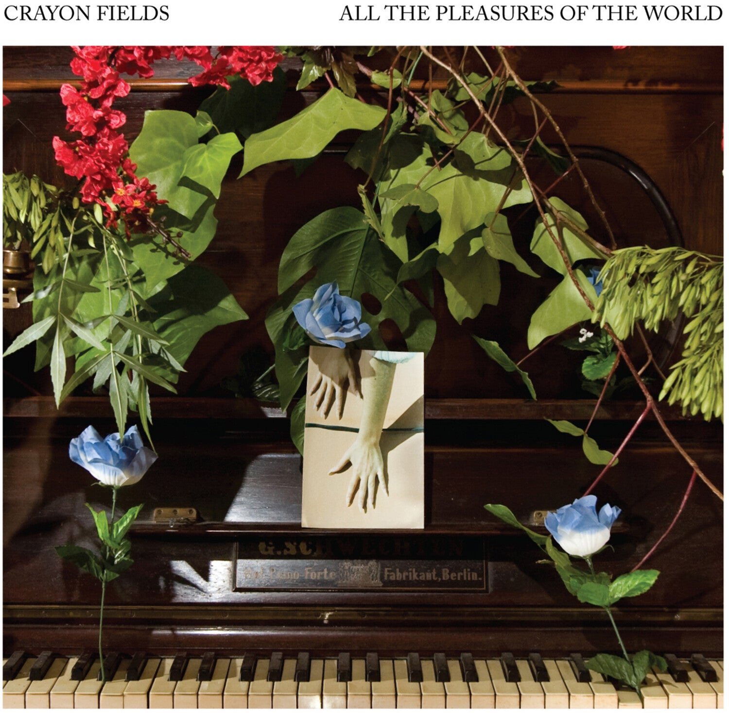 Crayon Fields - All the Pleasures Of the World (Blue Vinyl)