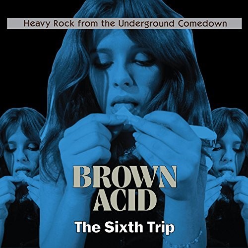 Various Artists - Brown Acid - The Sixth Trip (CD)