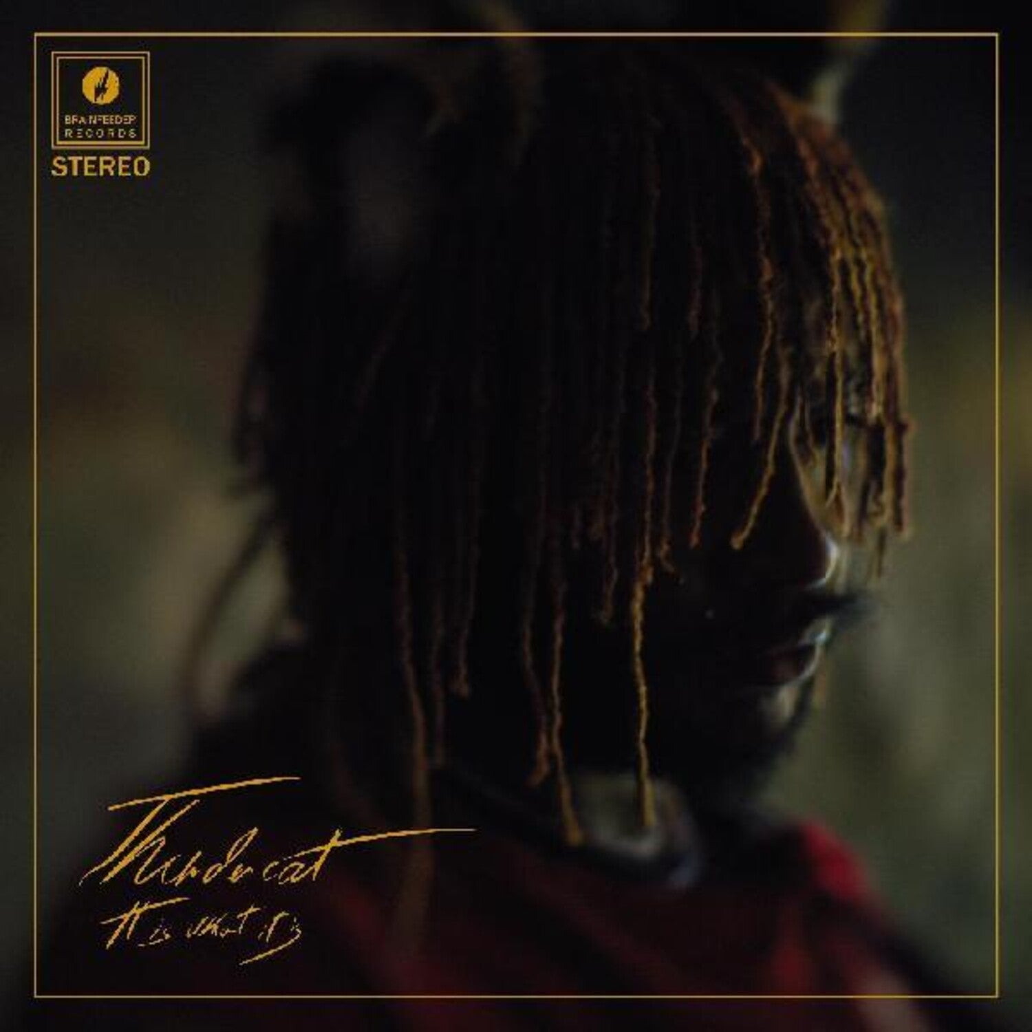 Thundercat - It Is What It Is (Clear Vinyl)