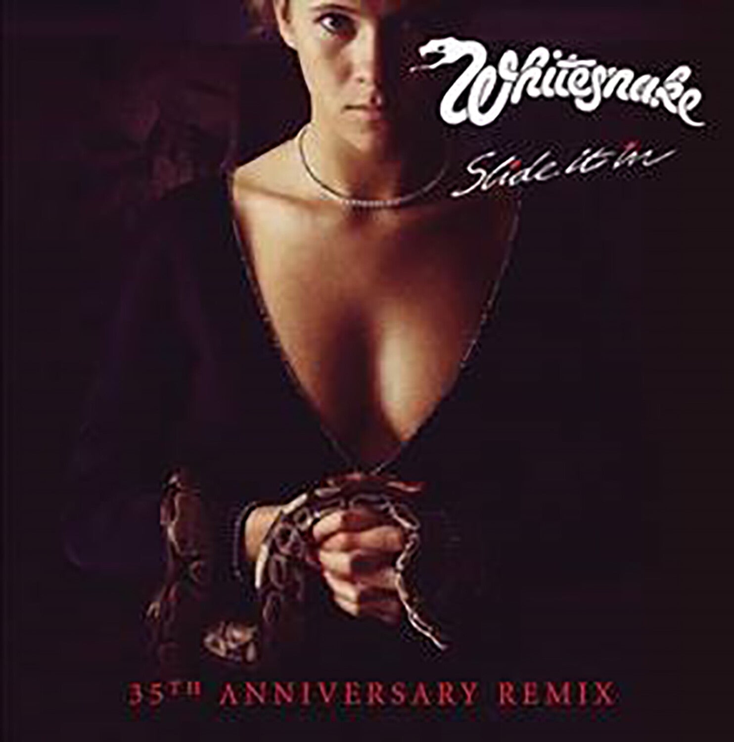 Whitesnake - Slide It In 2xLP (Anniversary Edition)