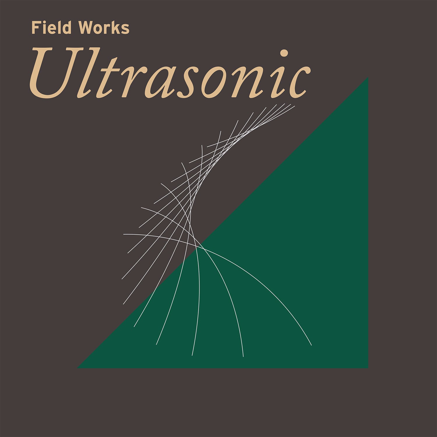 Various Artists - Field Works: Ultrasonic 2xLP