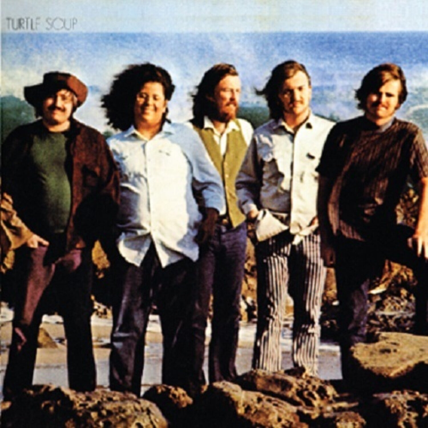 Turtles - Turtle Soup (Remastered)