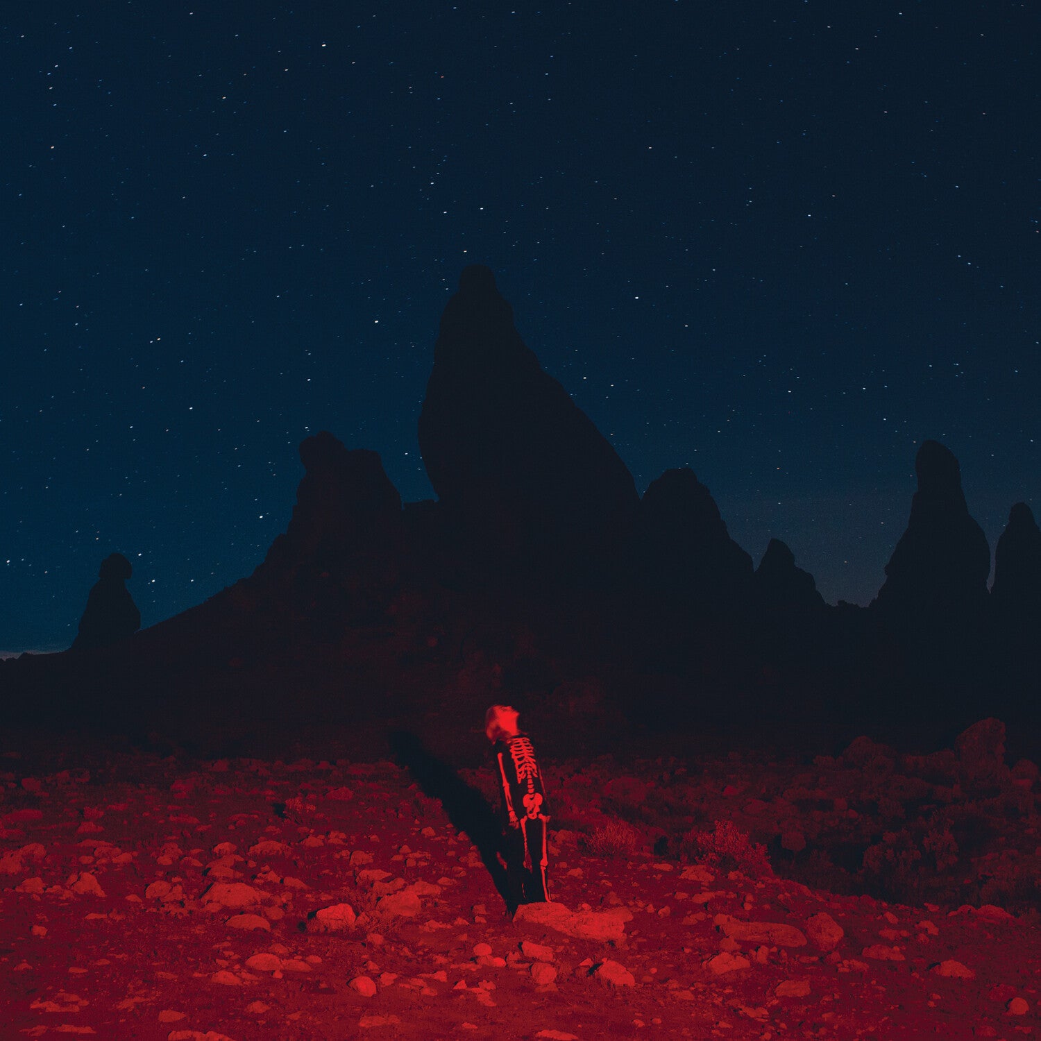 Phoebe Bridgers - Punisher (SACD)
