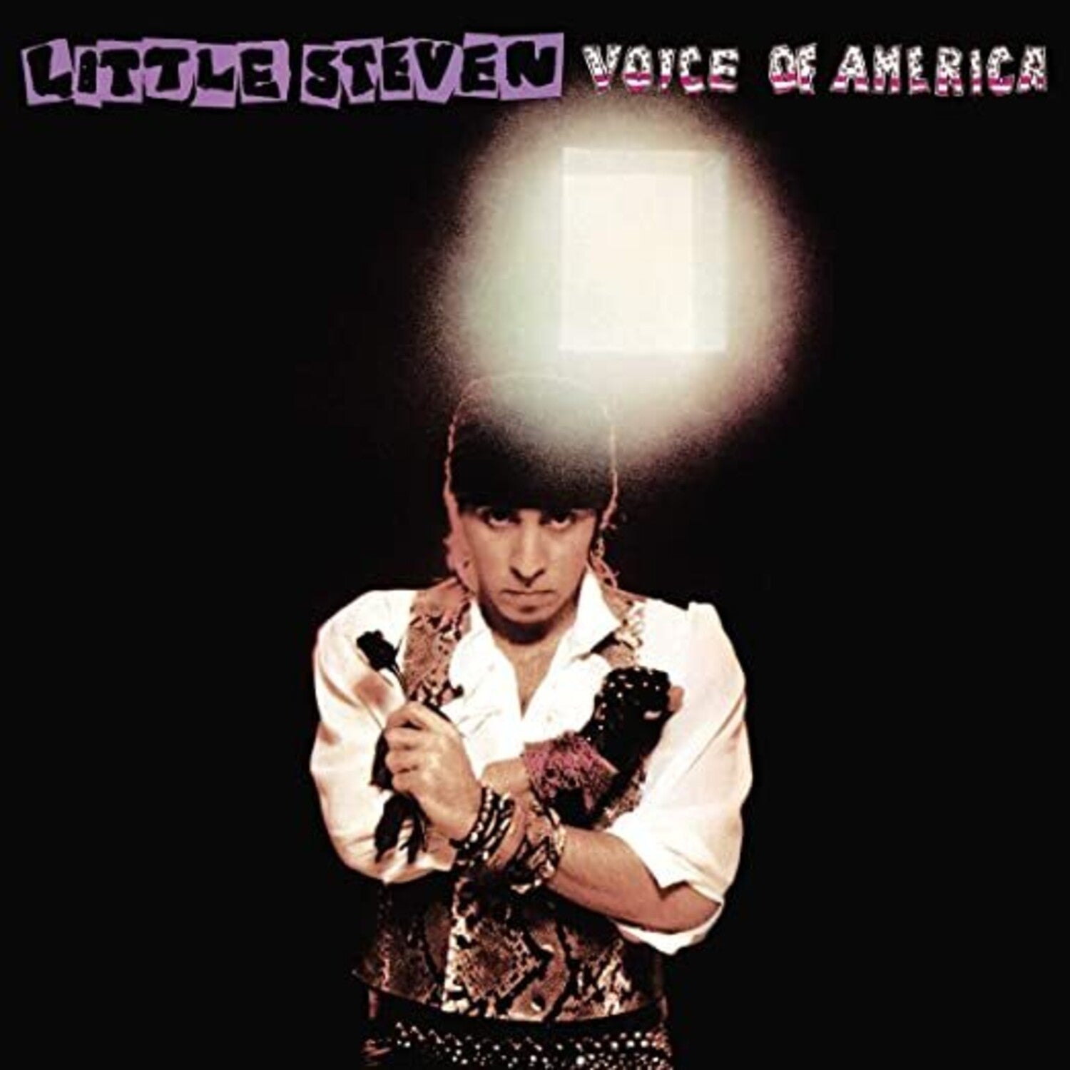 Little Steven - Voice Of America (CD)