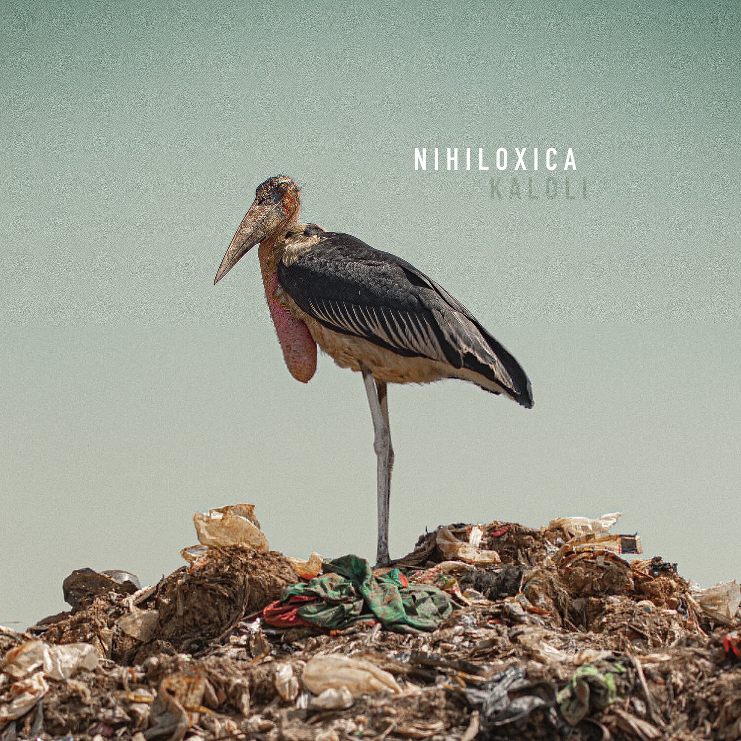 Nihiloxica - Kaloli 2xLP (Deluxe)