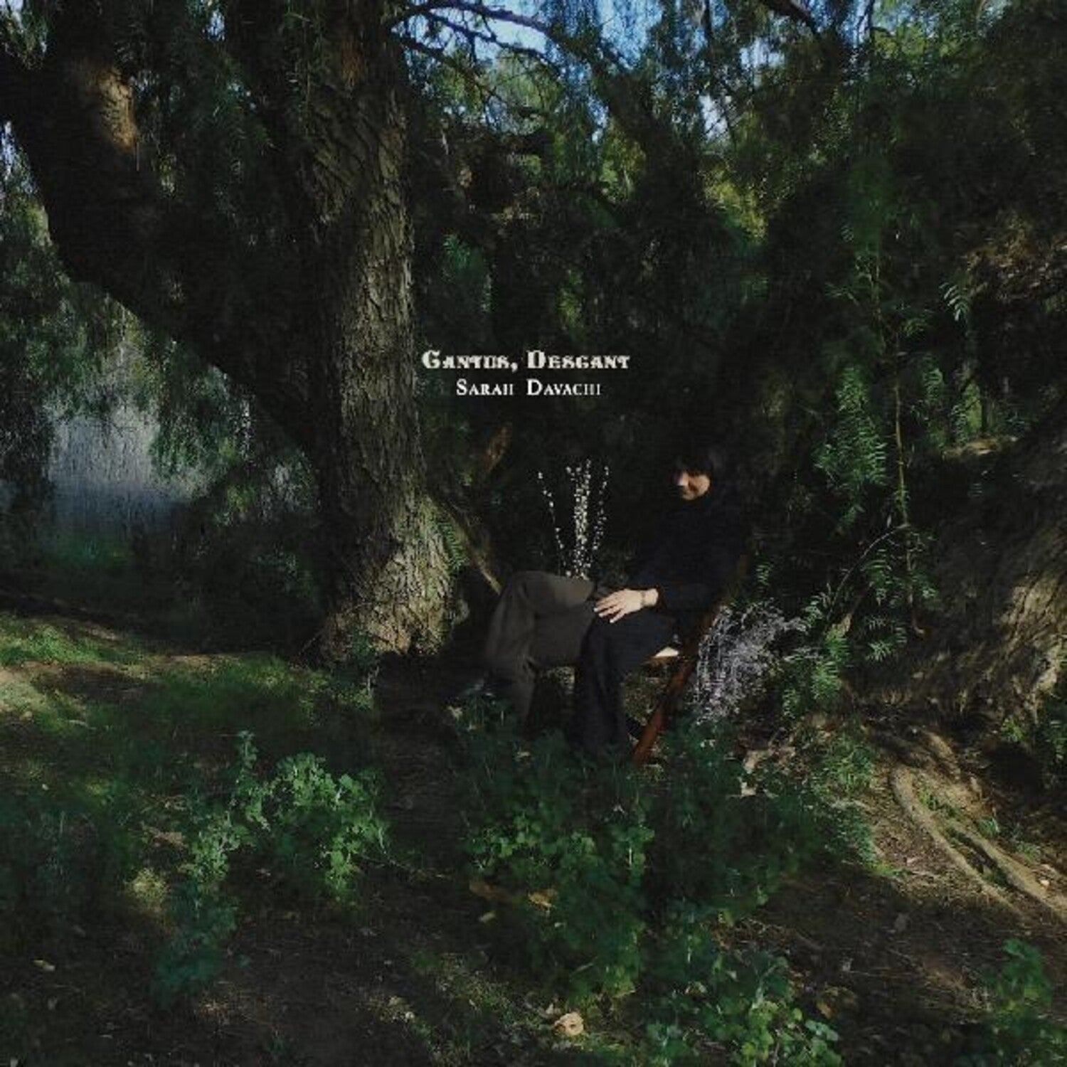 Sarah Davachi - Cantus Descant 2xLP