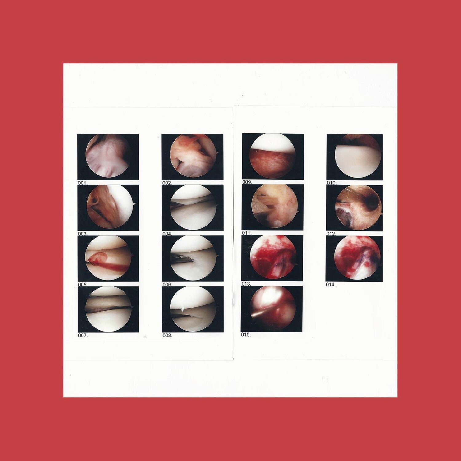 Cradle - Laughing In My Sleep (co) (Green Vinyl)