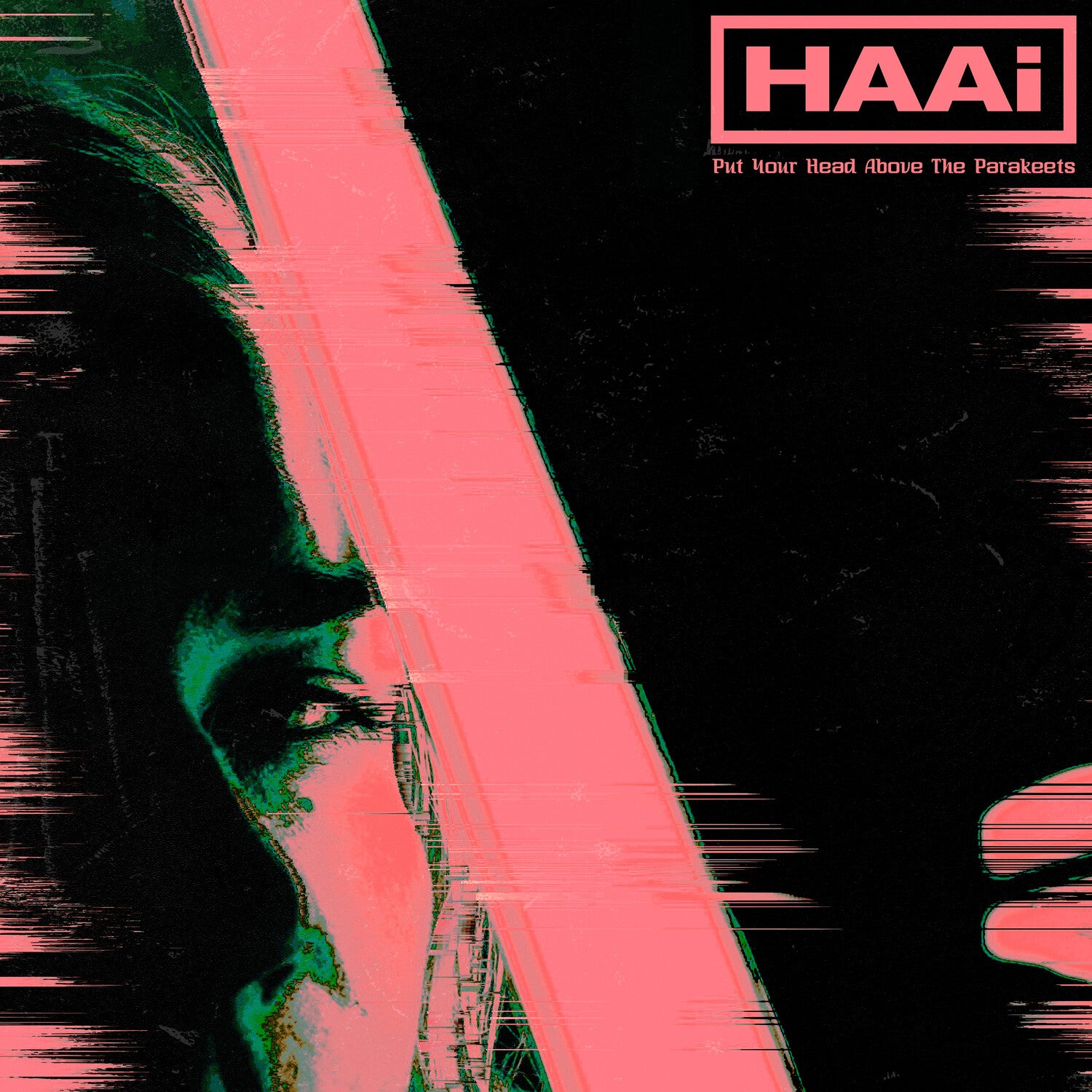 Haai - Put Your Head Above The Parakeets (Green Vinyl)