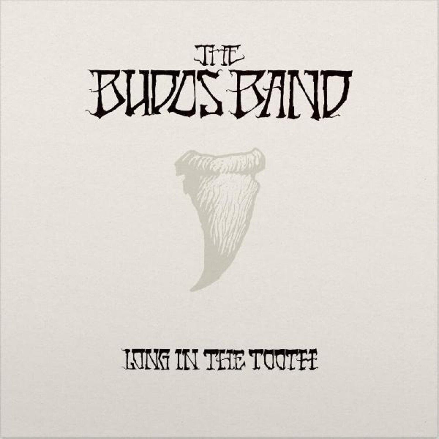 Budos Band - Long In The Tooth