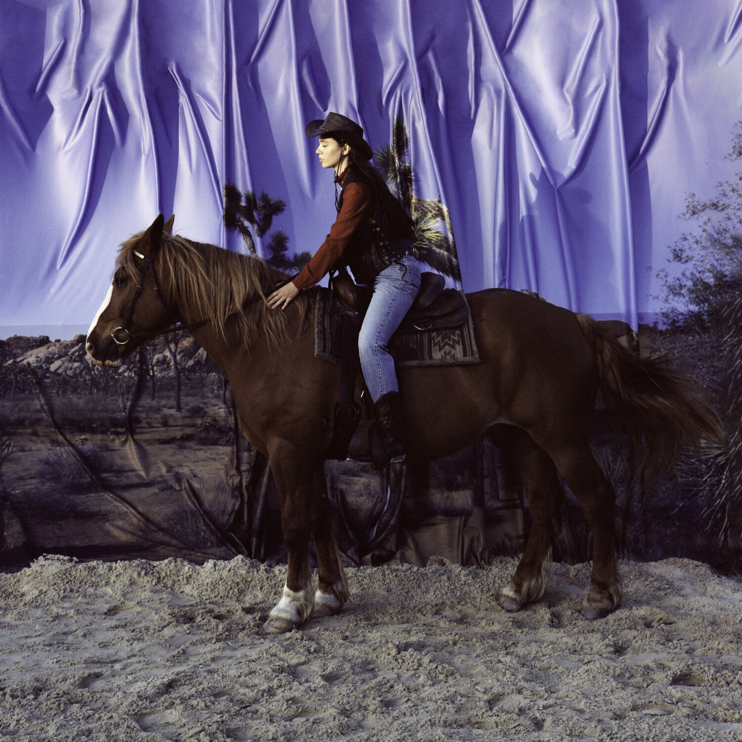 Holy Motors - Horse (CD)