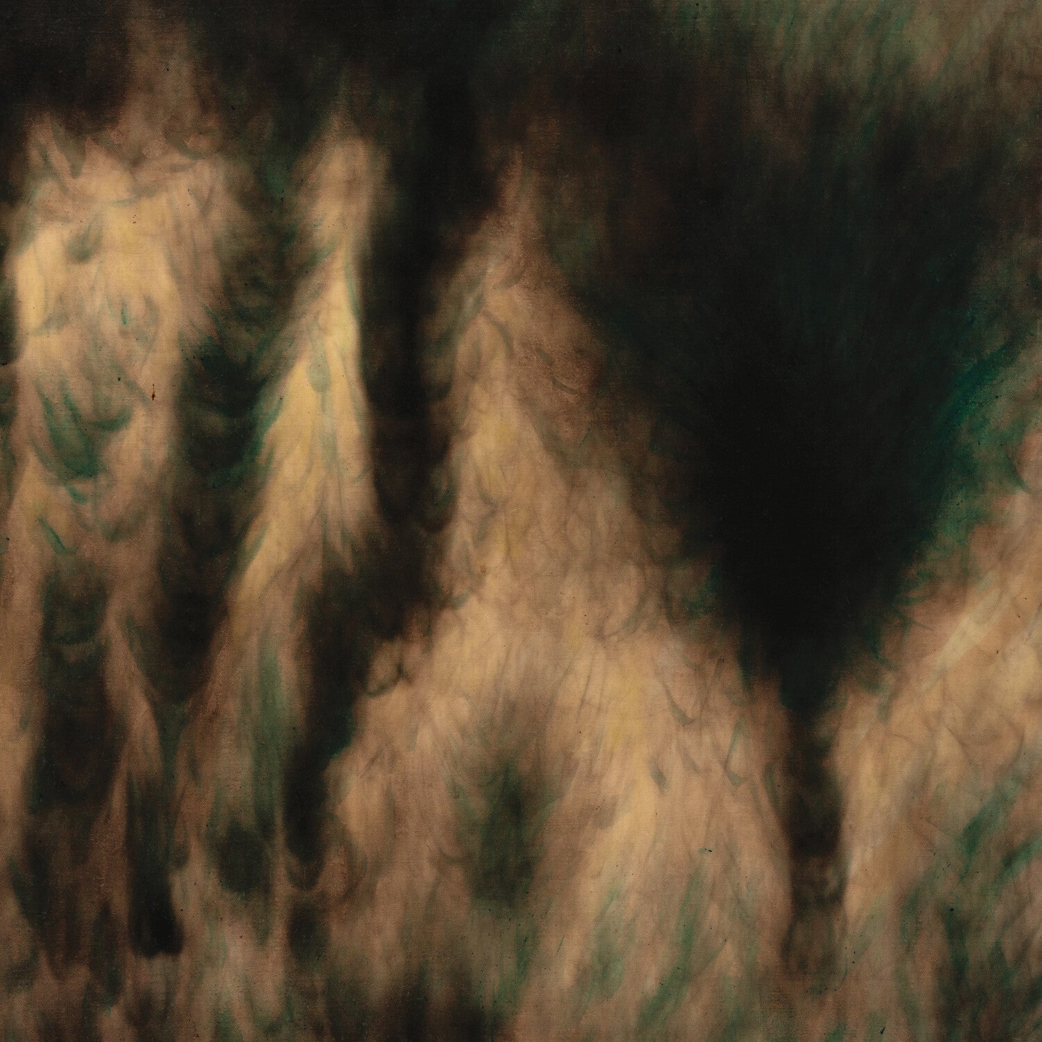 William Basinski - Lamentations 2xLP