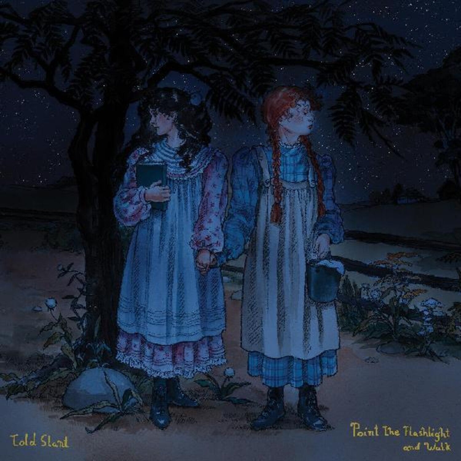 Told Slant - Point The Flashlight And Walk (Blue Vinyl)