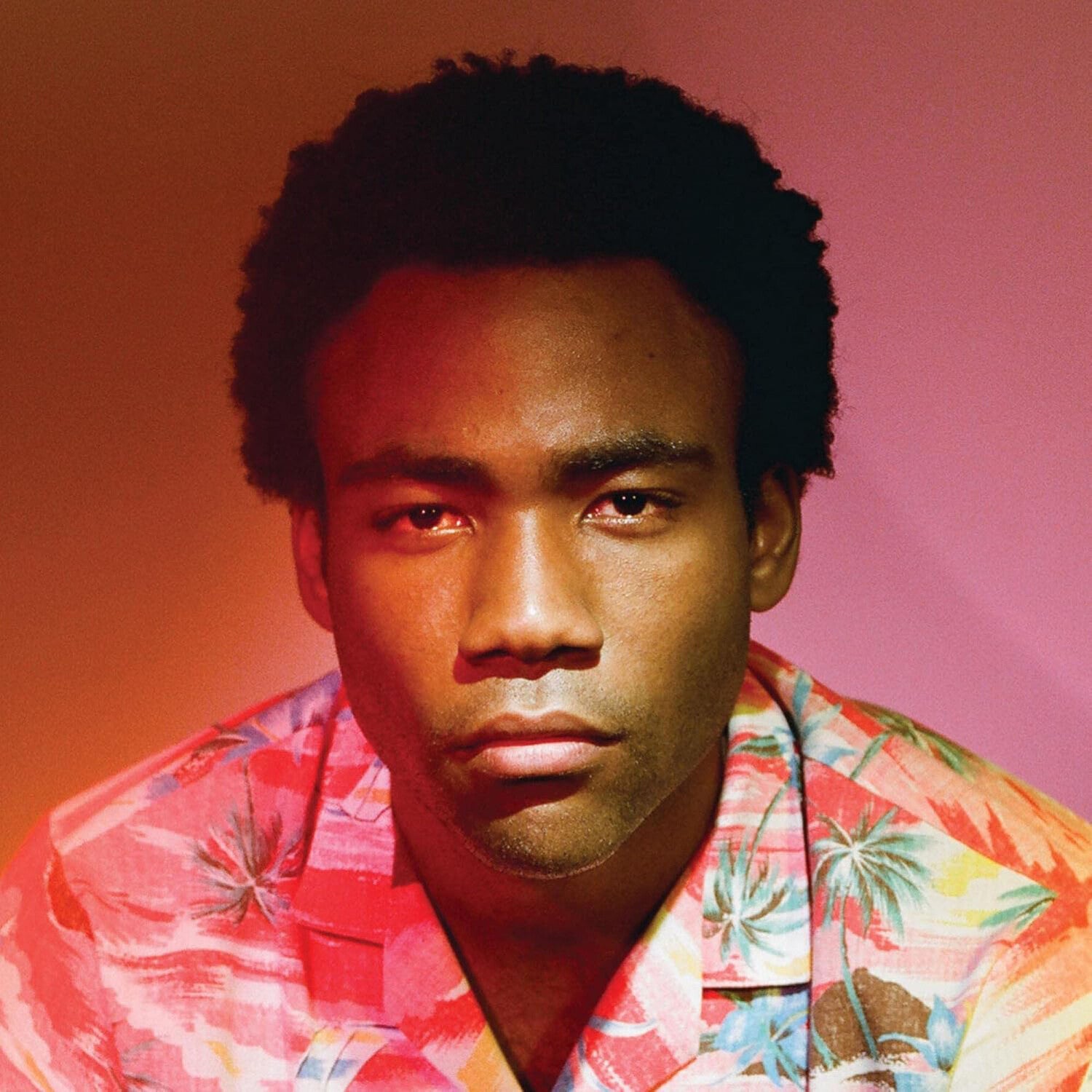 Childish Gambino - Because The Internet 2xLP