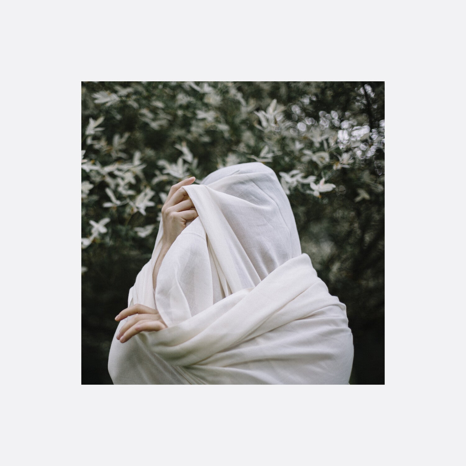 Zola Mennenoh - Longing For Belonging