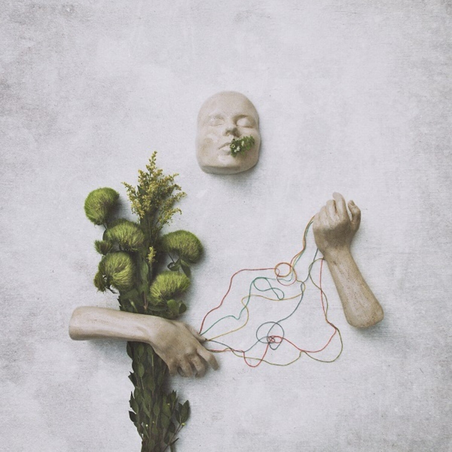 Red Steppes - A Mouth May Grow